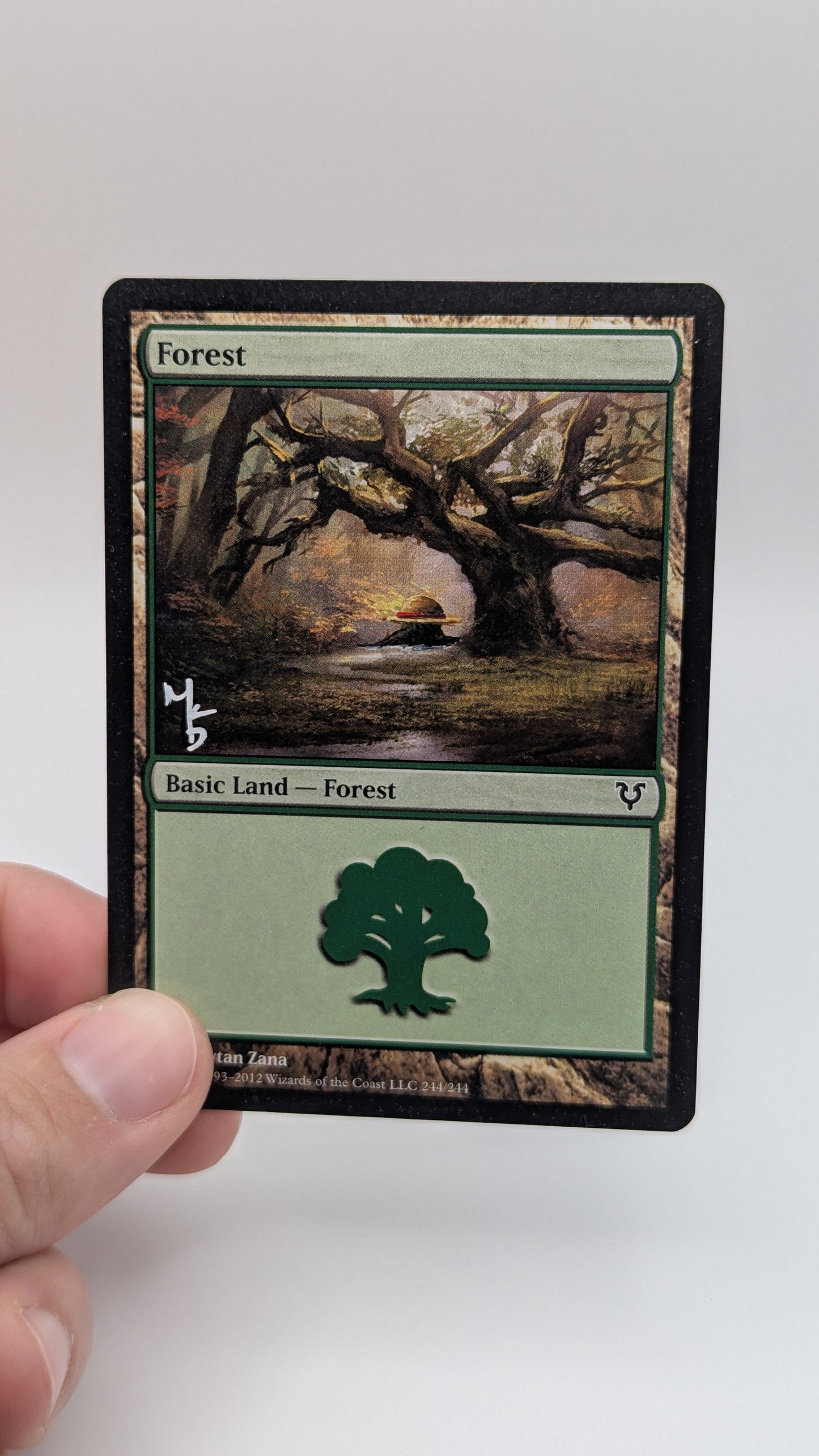 One Piece Straw Hat Forest Alters